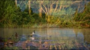 Река-речонка.