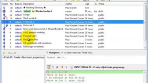 How to push changes to a Mercurial repository using TortoiseHg