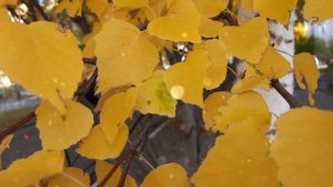 Личные вещи, которые нельзя отдавать даже родным.