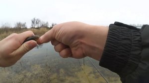 Ловля окуня на живца зимой - первая рыбалка 2018 года!