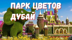 Парк цветов Miracle Garden. Дубай, ОАЭ.