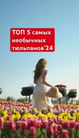 САМЫЕ НЕОБЫЧНЫЕ тюльпаны 2024