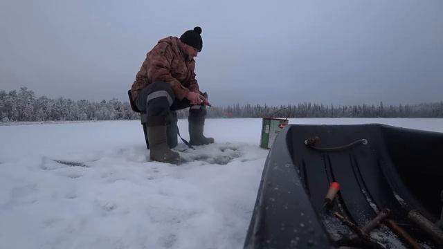Живём Неделю с Батей в Лесу.Охота.Рыбалка По Первому Льду.Проверка Путика.Котлеты из Лосятины. смотреть онлайн