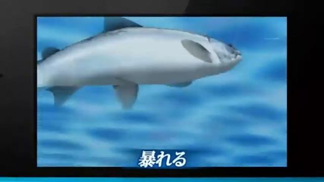 Reel Fishing Paradise 3D // Krinein.com смотреть онлайн