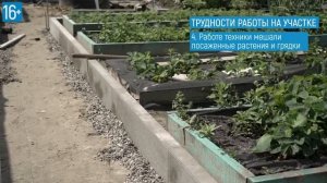 Укладка садовой дорожки на участке 6 соток. Сколько стоит укладка садовой дорожки в 2022 году