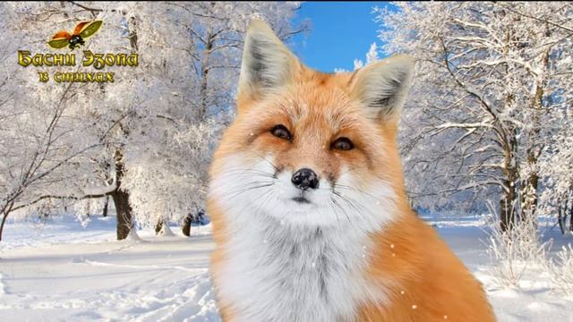 Басни Эзопа в стихах. Бесхвостая лисица. Анимация с лисой смотреть онлайн