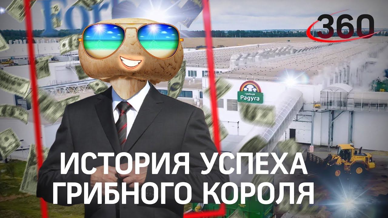 Самый популярный гриб: как выращивают шампиньоны?