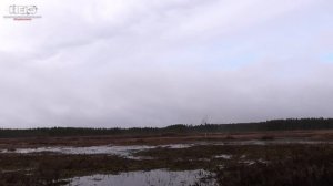 ОХОТА НА ГУСЯ ВЕСНА 2023 | GOOSE HUNTING 2023 #охота