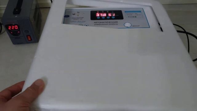 Автоматический инкубатор на 64 куриных яйца. смотреть онлайн