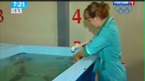 Трепанг (морской огурец) панацея от множества болезней в Екатеринбурге