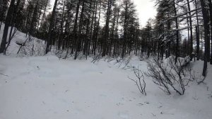 снегоход стелс викинг 800 , всегда первый