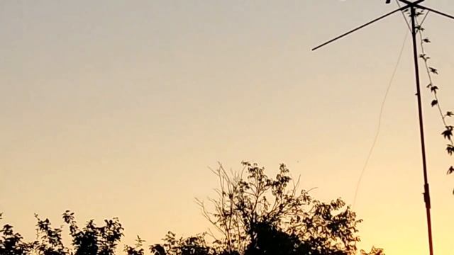 Соревнования голубей! Краснодарский край. 22.07.23. Голуби Вадима. Pigeon competition. Pigeons Vadi смотреть онлайн