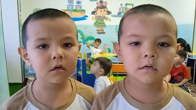 Надувала кошка шарА котёнок ей мешал.Подошёл и лапкой ТОП!А у кошки шарик ЛОП!