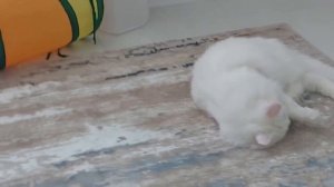 Мне сегодня весело с самого утра