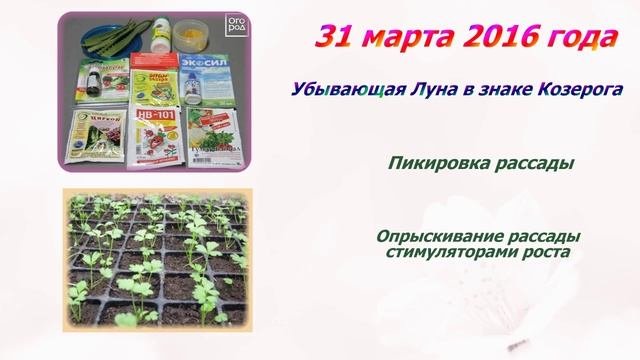 Лунный календарь 28 марта - 03 апреля 2016 года. Цветочный городок. смотреть онлайн