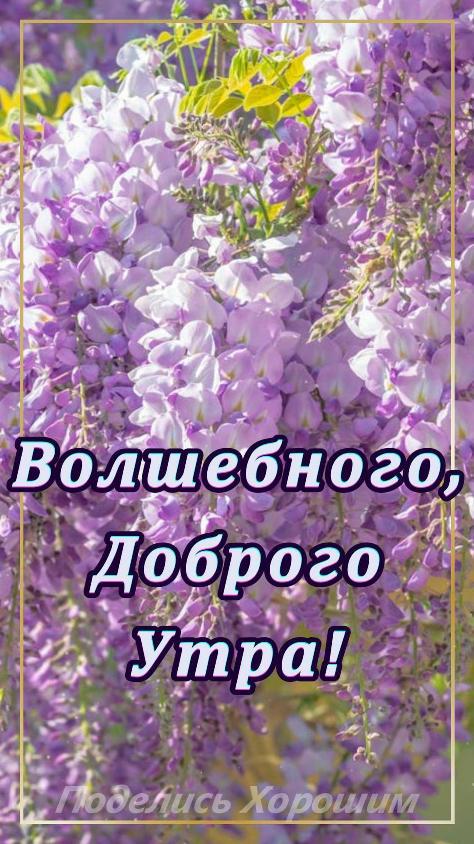 Волшебного, Доброго Утра!