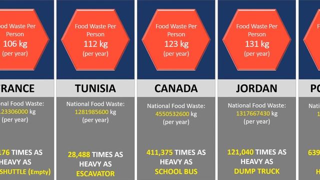 Top Countries By Food Waste Stats смотреть онлайн