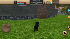 ВЗЛОМ МОНЕТ и ГЕМОВ в CAT SIMULATOR ANIMAL LIFE || Кэт симулятор энимал лайф Версия 1.0.1.6.