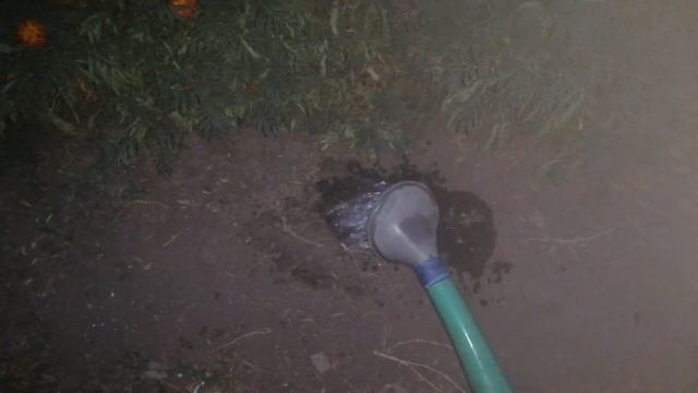 Клумба для цветов из ската.