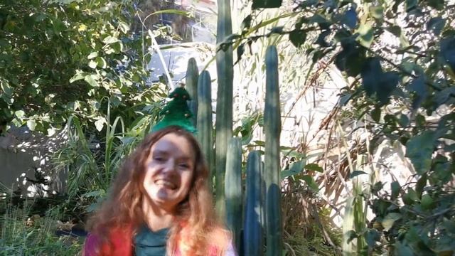 Новогоднее Поздравление от команды Уроков Медитации Израиля! смотреть онлайн