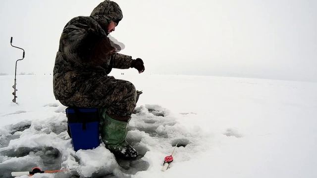 Плотва на Мормышку с мотылем Рыбалка на Воронежском водохранилище