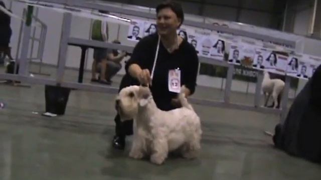 M2U01578 смотреть онлайн