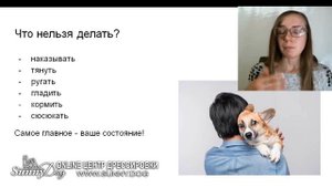 Если щенок испугался? Что делать? Что, если собака чего-то испугалась? Как побороть страх у собаки