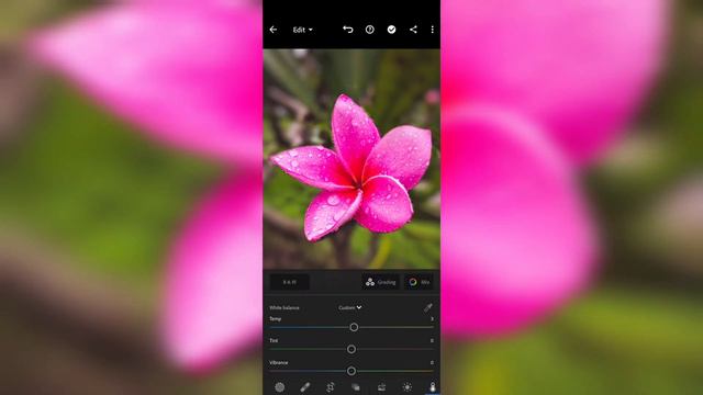 How I Edit Flower Photos | Lightroom Mobile смотреть онлайн