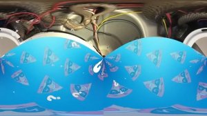 Случаи, Когда Гигантские Змеи Появились из Ниоткуда