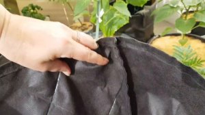 Горшки из спанбонда.