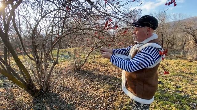 Домик в горах. Из камыша декор на стену. РЕЦЕПТ ПИРОГА. Кормлю птиц. Прилетел зеленый дятел. смотреть онлайн