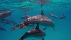 Besso # Harsha # Double Mix #.mp4