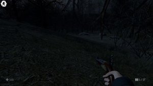 Краткий гайд по всей игре (Witch Hunt)