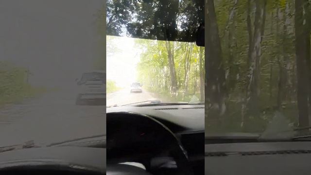 Спуск с высокой горы. ТревелБлог Апраксина Лада. Стрельная гора
