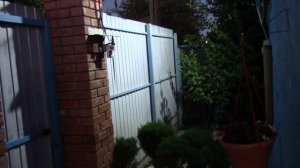 Июль 2024 г. Вечерний обзор дачи