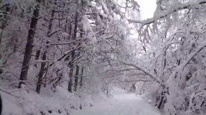 Света Петка Млдавска 17.01.16