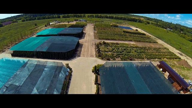 Питомник растений "EcoPlant" &  Ролик о компании&гМосква