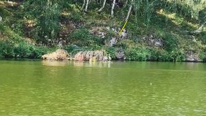 Речная прогулка по р.Исеть, г.Каменск_уральский