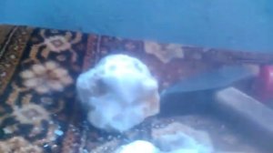 Добываем кварц!