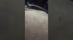 птс вектор 330 пуск