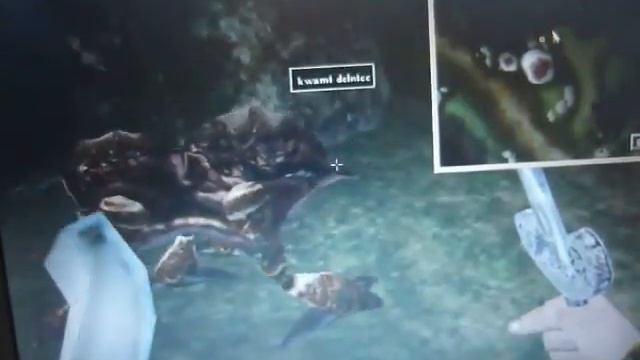 morrowind kostlivec vs kwami delnice смотреть онлайн