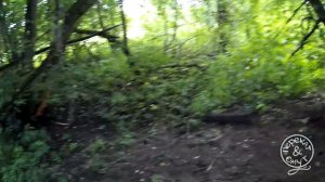 Ловля ручьевой форели на спиннинг.