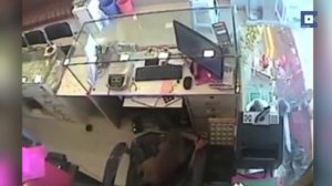 Обезьяна ограбила ювелирный магазин в Индии