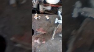 Как выглядит (позиция) латунь, и как ее отличить!