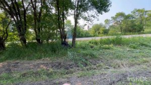 Продолжаю спил деревьев