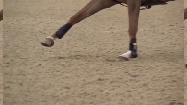 Конный спорт \\Equestrian sport\\ ×edit× смотреть онлайн