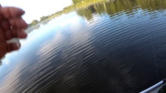 КЛЕПИКОВО ШИБАЕВО КУРЬЯ