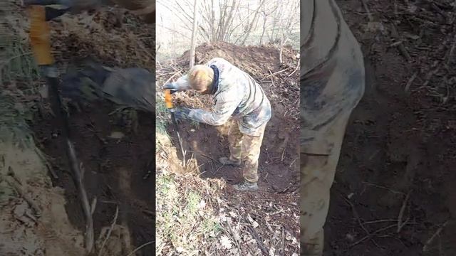 Как не замёрзнуть в лесу смотреть онлайн