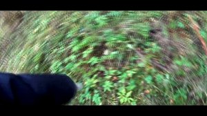 Как найти старую дорогу и клад? Находки