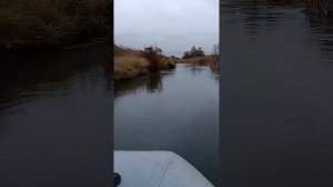 ветерок 12 по маленькой речке на ПВХ лодке